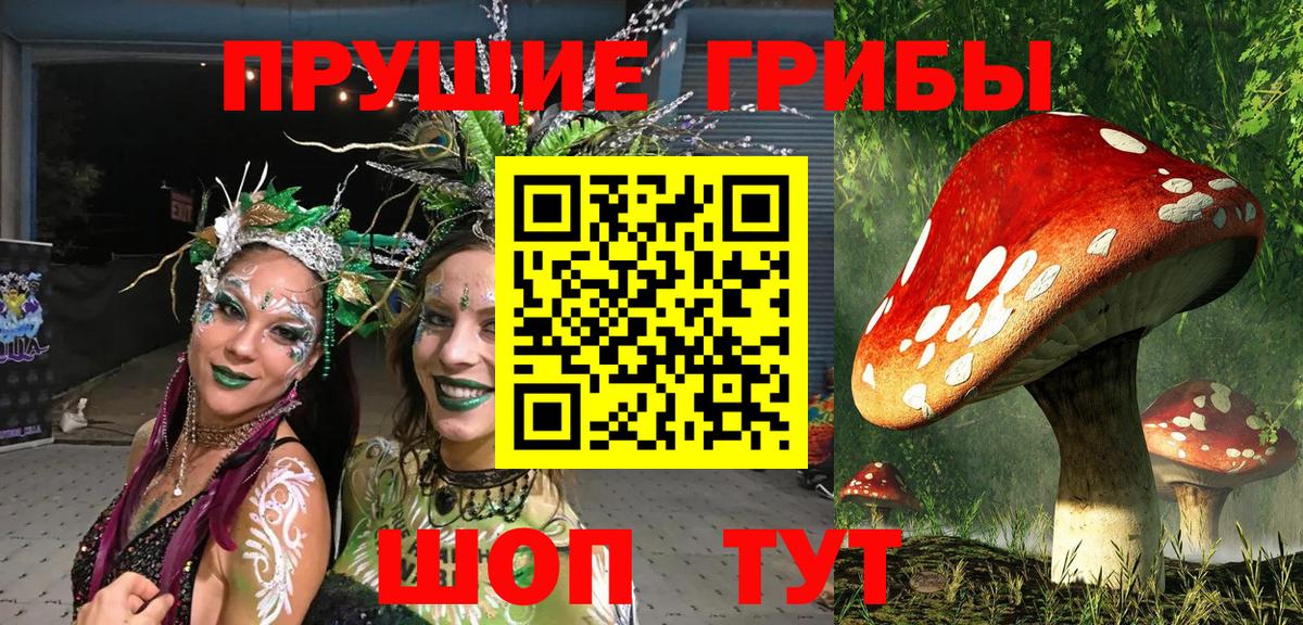 Псилоцибиновые грибы Psilocybine cubensis Рославль
